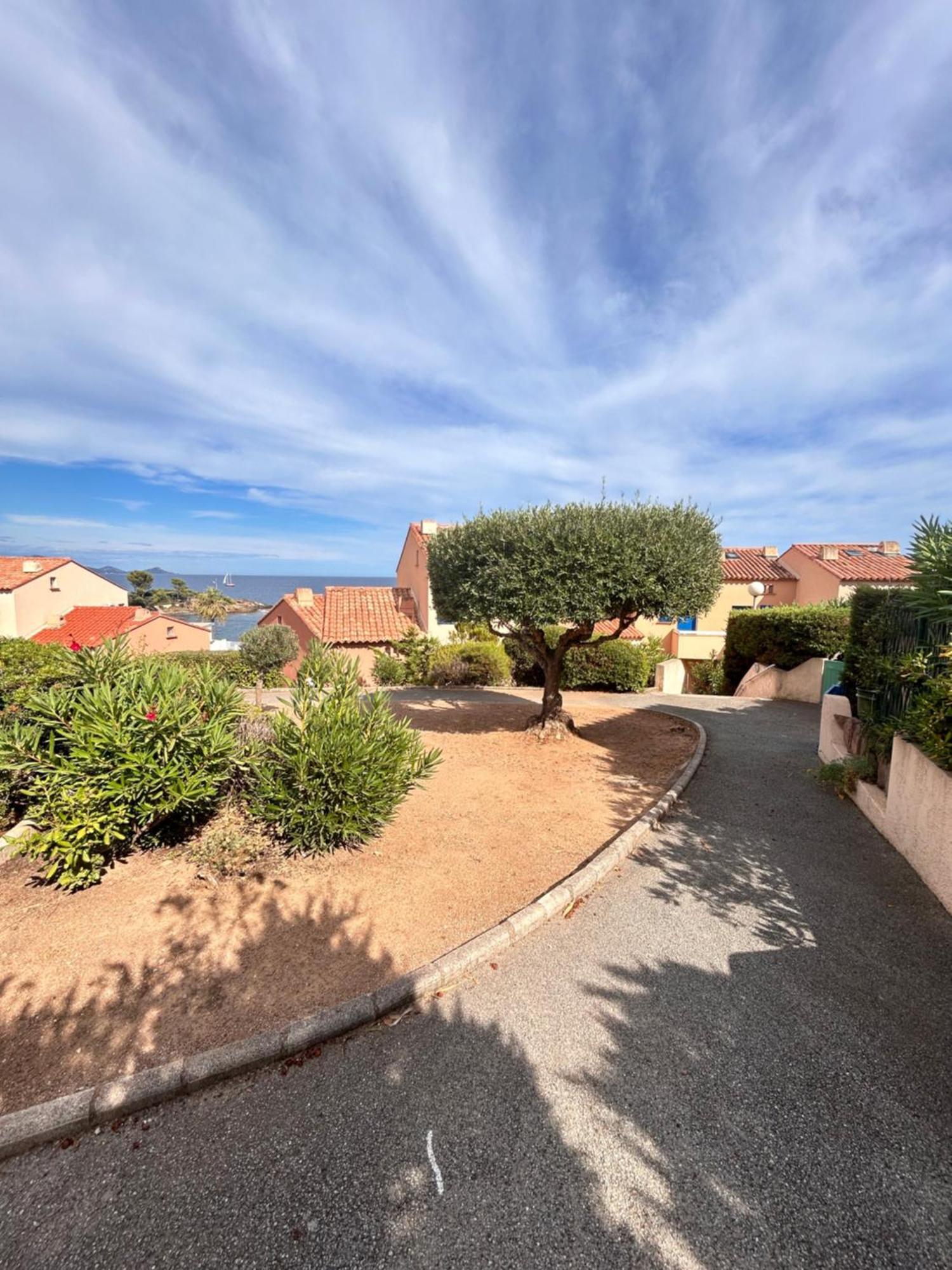 Appart Le Grand Bleu Saint Aygulf Fréjus Eksteriør bilde